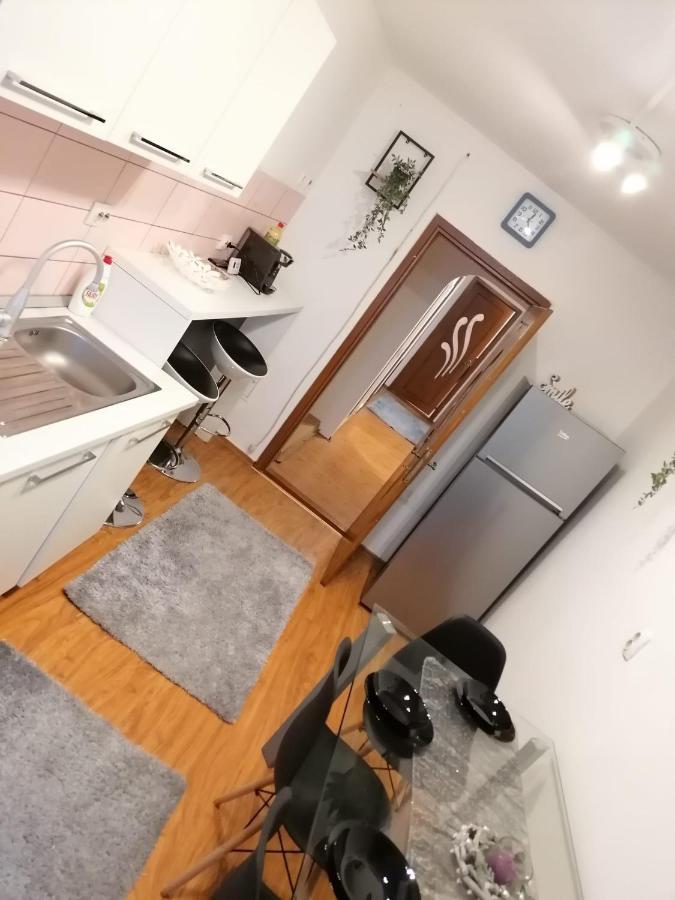 Masaryss Apartament Тулча Экстерьер фото