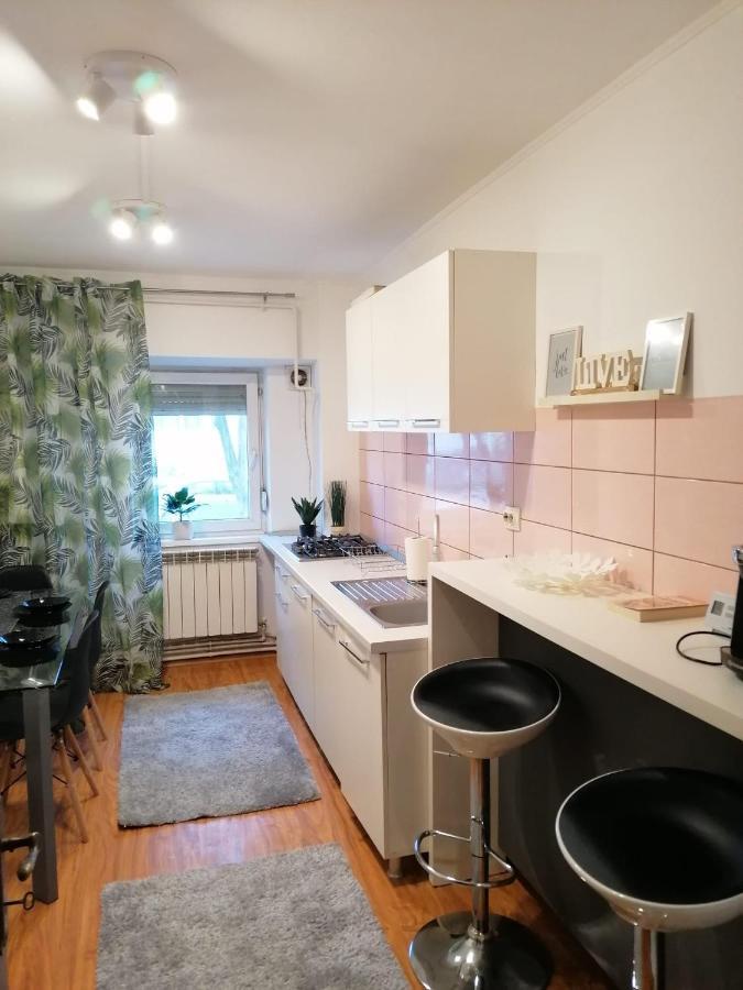 Masaryss Apartament Тулча Экстерьер фото